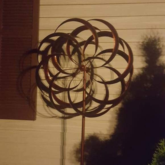 susan_tighe